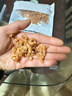 金钩海米 虾米干虾仁干煲汤煮粥 海产干货 金钩海米500g 源头直采包邮 实拍图