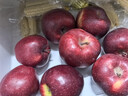 京鲜生 甘肃天水花牛苹果 又大又红 净重4斤装 单果200g起 新鲜水果  实拍图