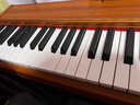 贝琪（Betsy）B351电钢琴88键重锤成人儿童电子钢琴家用练习初学者专业考级钢琴 B351-重力度88键木纹棕 实拍图