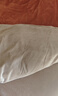 京东京造 220g牛奶绒四件套 A类秋冬加厚高克重法兰绒保暖双人床单枕套被套 1.5米床 焦糖Milky 实拍图