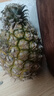 正宗海南金钻凤梨新鲜水果当季树上熟芒果凤梨【催熟食用】 净重4.5斤大果（2-3个）单果1.8斤起 实拍图