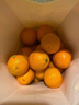 兀果语2025年云南密桔酸桔子当季薄皮橘子孕妇新鲜水果爆汁无核青 10斤 实拍图