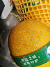 京鲜生 海南哈密瓜西州蜜/西周蜜 2粒5-7斤 单果2.5斤生鲜水果年货礼盒 实拍图