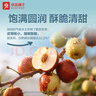 良品铺子脆冬枣量贩装 红枣零食大礼包无核脆枣蜜饯果干家庭量贩礼盒400g 实拍图
