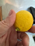 京鲜生 安岳黄柠檬 8粒 单果95-120g 生鲜水果 实拍图