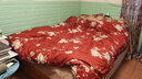 多喜爱60支全棉婚庆四件套 纯棉结婚床单被套床上用品四件套2x2.3米 实拍图