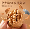 楼兰蜜语 薄皮大核桃500g/袋 新二核桃 每日坚果 新疆纸皮核桃仁 休闲零食 实拍图