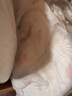 好奇（Huggies）铂金装小桃裤拉拉裤L76片(9-14kg)大号尿不湿【透爽散热】 实拍图