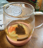GLASSLOCK 玻璃茶杯耐热水杯茶水分离过滤杯家用办公室男女专用泡茶杯350ml 实拍图