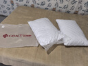 洁丽雅（Grace）纤维枕星级酒店枕头枕芯46*72cm一对装（2只装） 实拍图