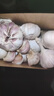 大蒜头出口品质网兜紫蒜蔬菜调料新鲜大果烧烤火锅食材 【精品网兜装】1斤装 450g 实拍图