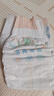 名典泰迪纸尿裤XL码50片【11.5-14kg】婴儿尿不湿超薄透气干爽尿裤 实拍图