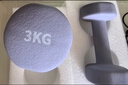 Keep 彩色浸塑哑铃 男女家用家庭健身肌肉塑形手臂轻重量紫灰色 3kg*2 实拍图