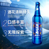 雪花啤酒（Snowbeer）勇闯天涯superX 500ml*12瓶 雪花小蓝瓶新年送礼 实拍图