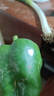 新鲜绿菜椒现摘山东圆椒青椒太空甜椒蔬菜灯笼椒生吃蔬菜沙拉 新鲜圆椒1斤 实拍图