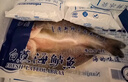 往牧 三去开背海鲈鱼/河鲈鱼 鲜活冷冻 去鳃去鳞 生鲜鱼类 海鲜水产 【大号3条】净重450g-400g/条 实拍图