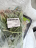 大菠菜300g 实拍图