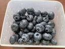 怡颗莓Driscoll's 云南蓝莓14mm+ 4盒装 约125g/盒 新鲜水果 实拍图