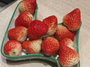 京鲜生 长丰红颜草莓净重1.5斤装 单果25g 生鲜水果 源头直发包邮 实拍图