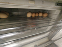 温氏供港鲜鸡蛋40枚/4斤家庭装 谷物喂养 无抗生素  牛奶早餐生鲜食材 实拍图