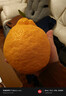 生活＆好管家 四川春见耙耙柑爆浆大果新鲜水果礼盒应季橘子现摘柑橘子桔子 4.5-5斤【超划算】净重4.5斤 果径90mm+【超大果】 实拍图