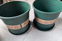 墨斗鱼花盆加仑盆加厚高款2加仑*3多肉绿萝月季盆栽树脂塑料简约带托盘 实拍图