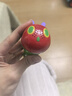 小彼恩毛毛虫点读笔 双语幼儿启蒙早教点读笔毛毛虫学习机生日礼物儿童 【人气热销】三代WIFI2.0点读笔 实拍图