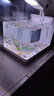 森森 超白玻璃智能鱼缸一体缸自循环家用水族箱HE-300 实拍图
