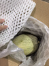 京鲜生 海南哈密瓜 西州蜜/西周蜜 1粒装 单果2.5斤起 生鲜水果 实拍图