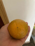 京鲜生 广西皇帝柑/贡柑 净重9斤 单果100g起 生鲜水果年货礼盒 实拍图