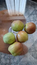 隰县玉露香梨 【顺丰现货】整箱香梨当季水果山西隰县小西天特产 孕妇水果送礼 9粒大果（净重5-6斤）单果80+mm 实拍图