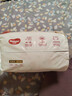 好奇（Huggies）铂金装小桃裤成长裤XXL74片(15kg以上)尿不湿【透爽散热】 实拍图
