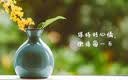 正品番泻叶天然排宿便减肥瘦身肚子独立小包装泡水喝的无添加茶包 番泻叶【划算装】 100包*1袋 实拍图