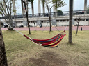 魔铁（MOTIE）吊床户外露营双人帆布吊床弯木防侧翻室内秋千成人儿童加宽加厚 实拍图