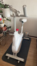英尔健家用动感单车智能磁控静音运动减肥健身器材室内脚踏车健身单车 [标准款]物理阻力/竞赛游戏/踏频监测/13斤全包飞轮组 实拍图