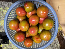 京鲜生丹东铁皮西红柿 净重4.5斤 单果50g+ 酸甜可口源头直发 实拍图