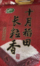 十月稻田 2025年新米 长粒香大米 20斤（东北大米 香米 10公斤） 实拍图