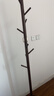 家逸实木衣帽架卧室衣架落地挂衣架立式客厅加粗衣服架子办公室挂包架 实拍图