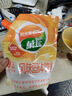 菓珍阳光甜橙味 壶嘴装400g*3（共3袋）果珍维C橙汁冲饮果汁粉 实拍图