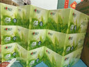心相印抽纸/盒抽 茶语经典 2层200抽*12盒 淡茶香加厚 纸巾 整箱 H200 实拍图