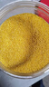 赤川敖汉黄小米5斤 25年新米金苗K1 内蒙古赤峰小米粥杂粮粥黄小米 实拍图