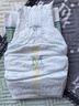 babycare皇室狮子王国弱酸纸尿裤中号M50片(6-11kg)婴儿尿不湿亲肤透气 实拍图