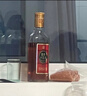 劲牌十全酒35度500ml*12瓶整箱装养生酒(家庭囤货装)自饮送礼 实拍图