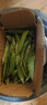 新鲜豌豆四川带壳青豆角水果甜豆荚农家蔬菜 新鲜青豌豆荚净重1斤 实拍图