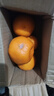 云南蜜橘 新鲜无籽薄皮桔子水果橘子橙子小青柠金桔沃柑小青柑 带箱1斤（55mm起） 实拍图