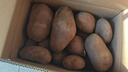 内蒙红皮大土豆新鲜黄心土豆现挖洋芋地蛋马铃薯粉面火锅批发 红皮土豆大果 9斤净重 【单果150g+】 实拍图