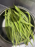 京鲜生山东新鲜油豆角1.8斤装新鲜蔬菜源头直发包邮 实拍图