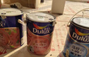多乐士（Dulux）森呼吸淳零护敏护哮喘竹炭全效抗菌无添加儿童漆 油漆乳胶漆A8207 套装 可调色（不可退换） 15L*1件 实拍图