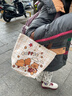 时尚休闲帆布包女时尚单肩包上班托特包手提袋拎包帆布袋卡通包包 美好时光水豚 上长27*高22*底宽10cm 实拍图
