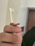 世喜儿童牙刷1-2-3岁婴幼儿宝宝超细软毛牙刷口腔清洁训练乳牙刷2支装 实拍图